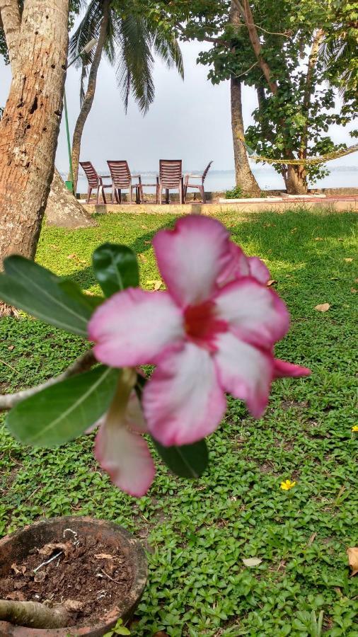 Homestay West Wind Homez - *
